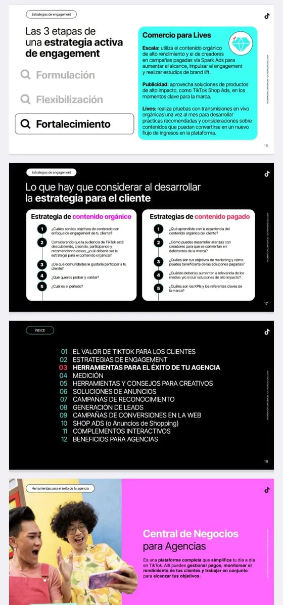 Páginas de la guía: estrategia de contenido orgánico y pago.